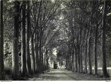 Postkarte - 61 - Le Pin la Garenne - Château de la Pellonnière - L'Avenue -