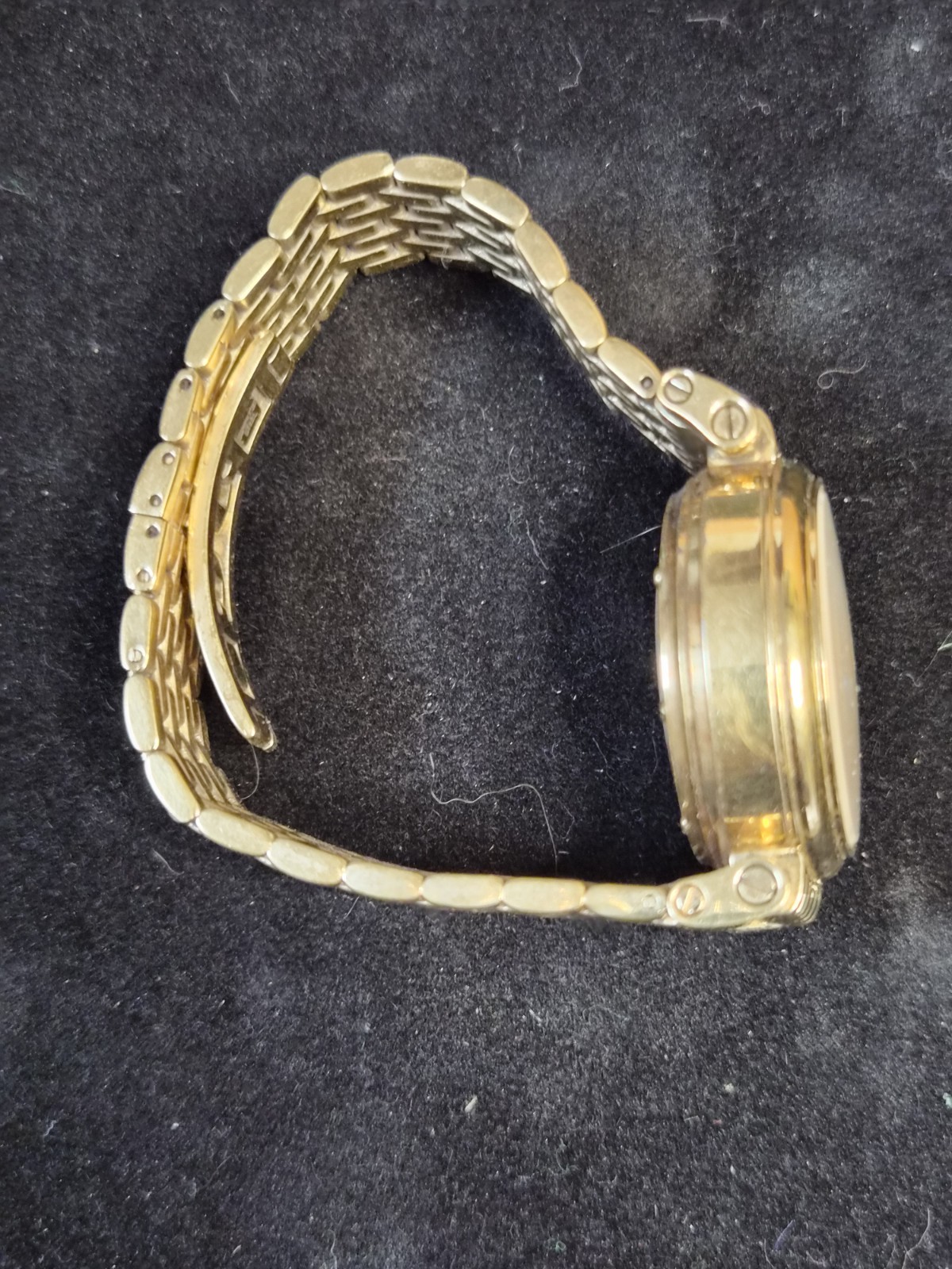 Daniel Steiger Evolution Mechanical Automatic Wri… - image 2