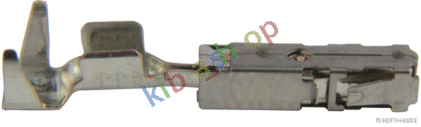 Picture 1