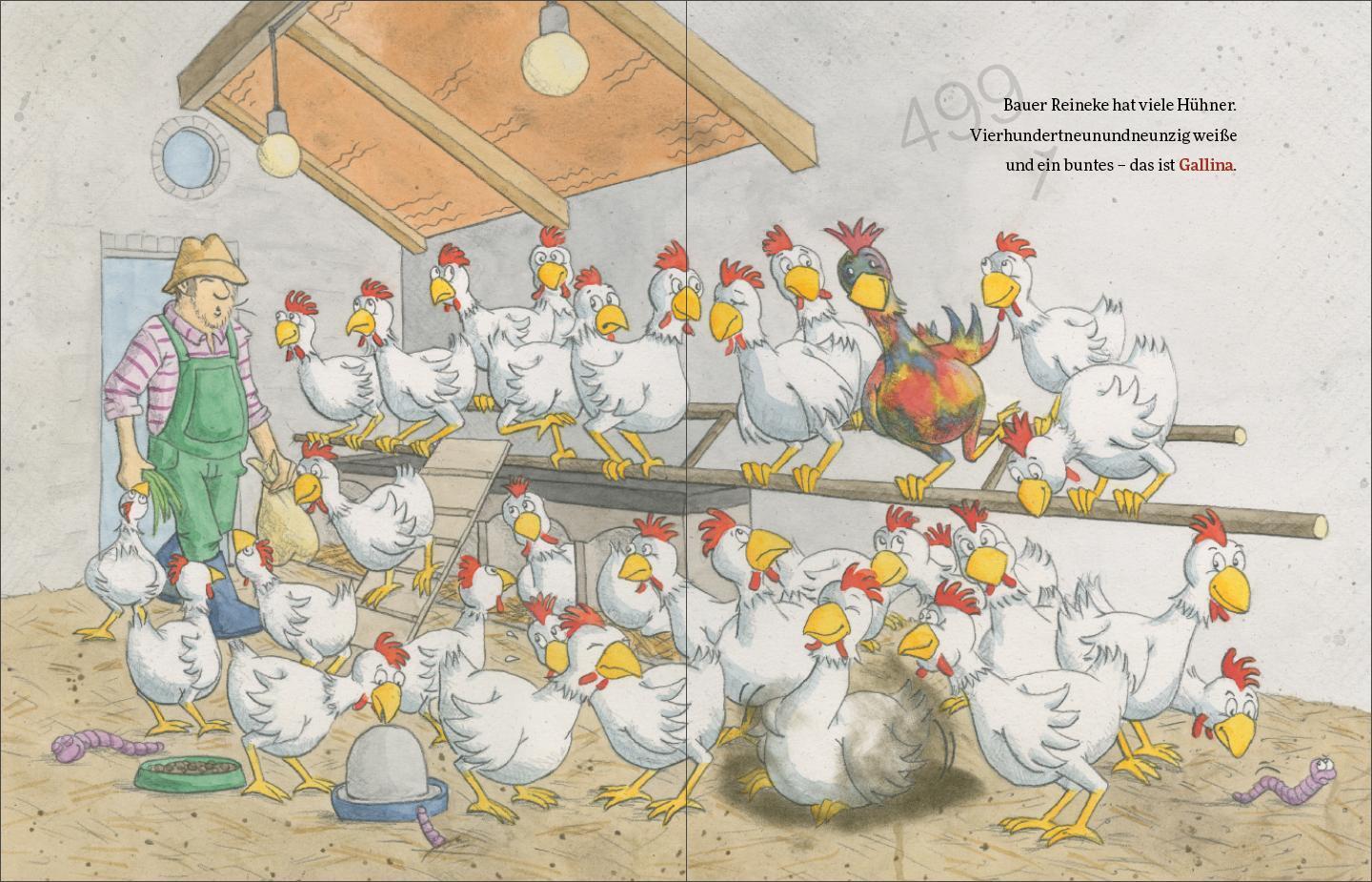 Thumbnail - Gallina Träumt Vom Fliegen | Brigitte Endres | Buch | 34 S. | Deutsch