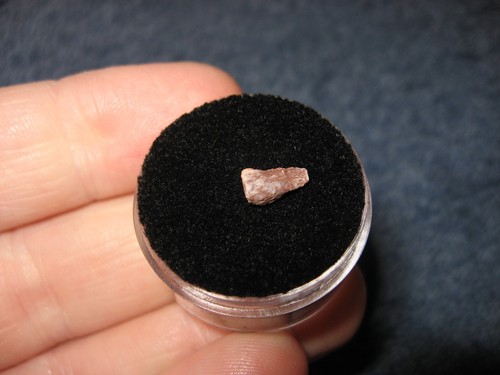 Triassic Apachesaurus amphibian Claw fossil Bull Canyon dinosaur beds #3 - Picture 3 of 3