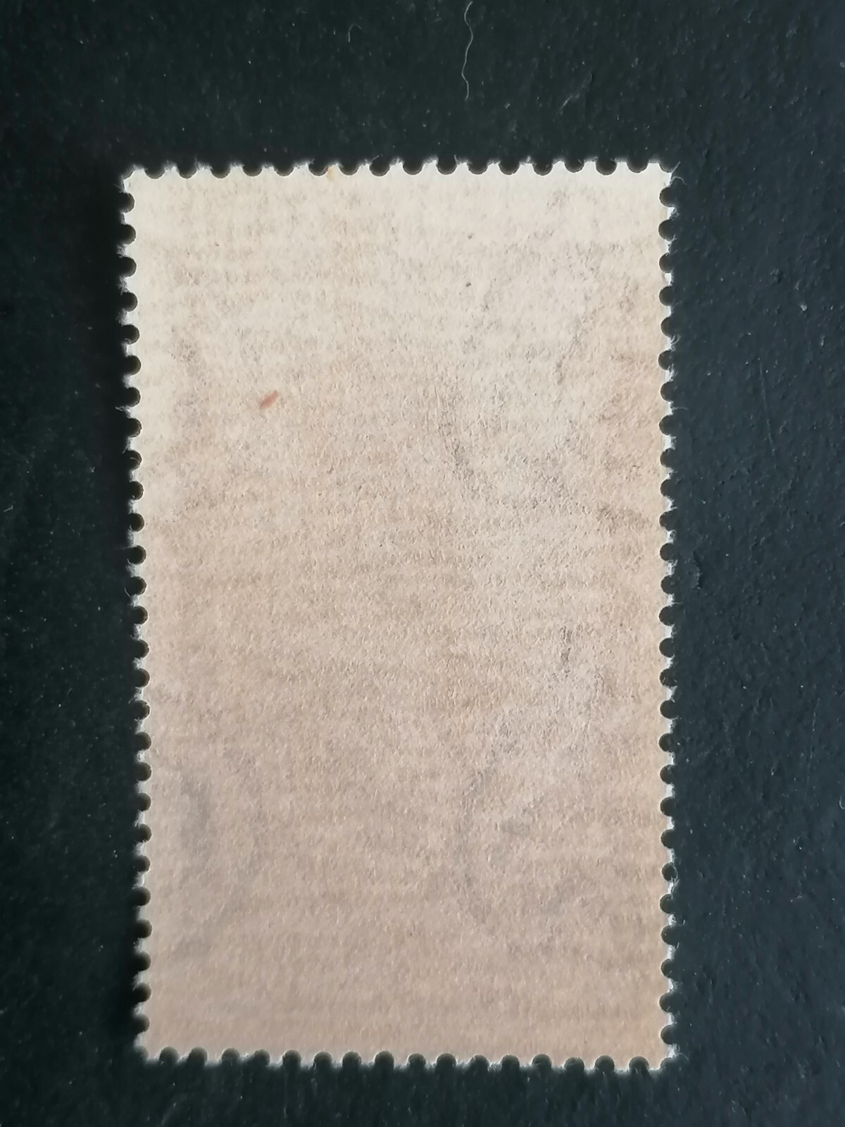 Foto 2 di 2
