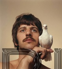 The Beatles Ringo Starr, Avedon, Psychedelic  11 x 14"  Photo Print
