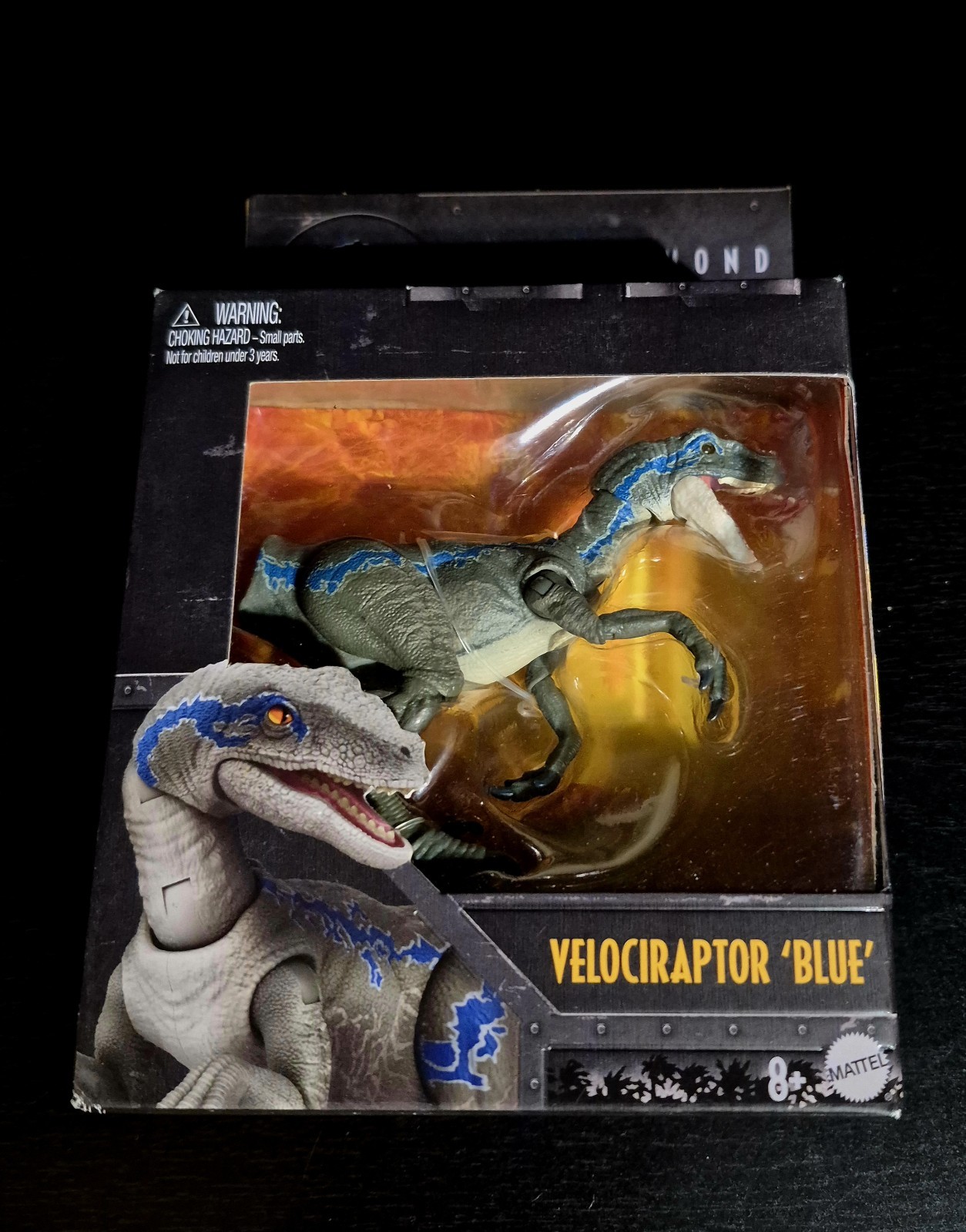 Hammond Collection Concavenator 1:18 Damaged Box Hammond