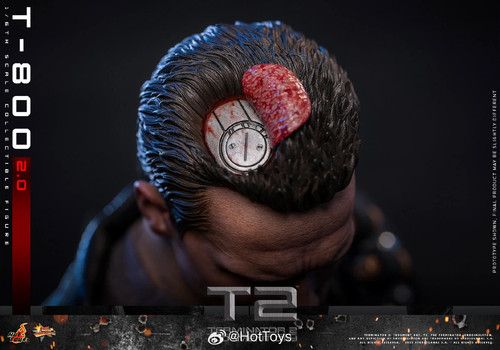 Hot Toys MMS795 Terminator 2 Judgment Day T800 (2.0) Arnold Schwarzenegger NEW - Picture 12 of 14