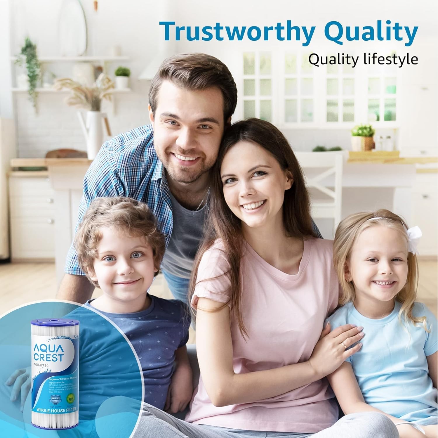 Aazon.co: GE FXHSC Whole House Water Filter | Replaceent for Water
