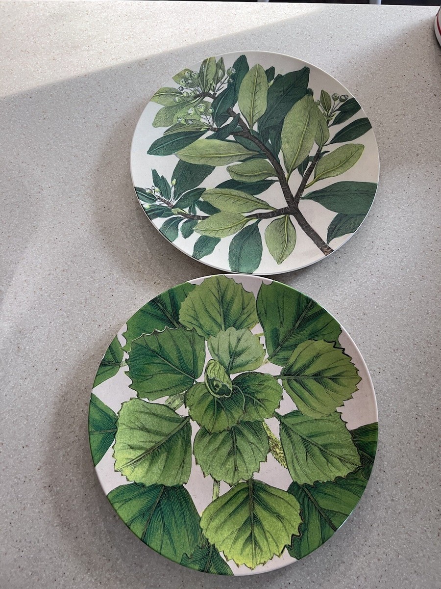 John Derian botanical melamine dinner plate Target 10.5" - Set of 2 | eBay John Derian botanical melamine dinner plate Target 10.5" - Set of 2 | eBay