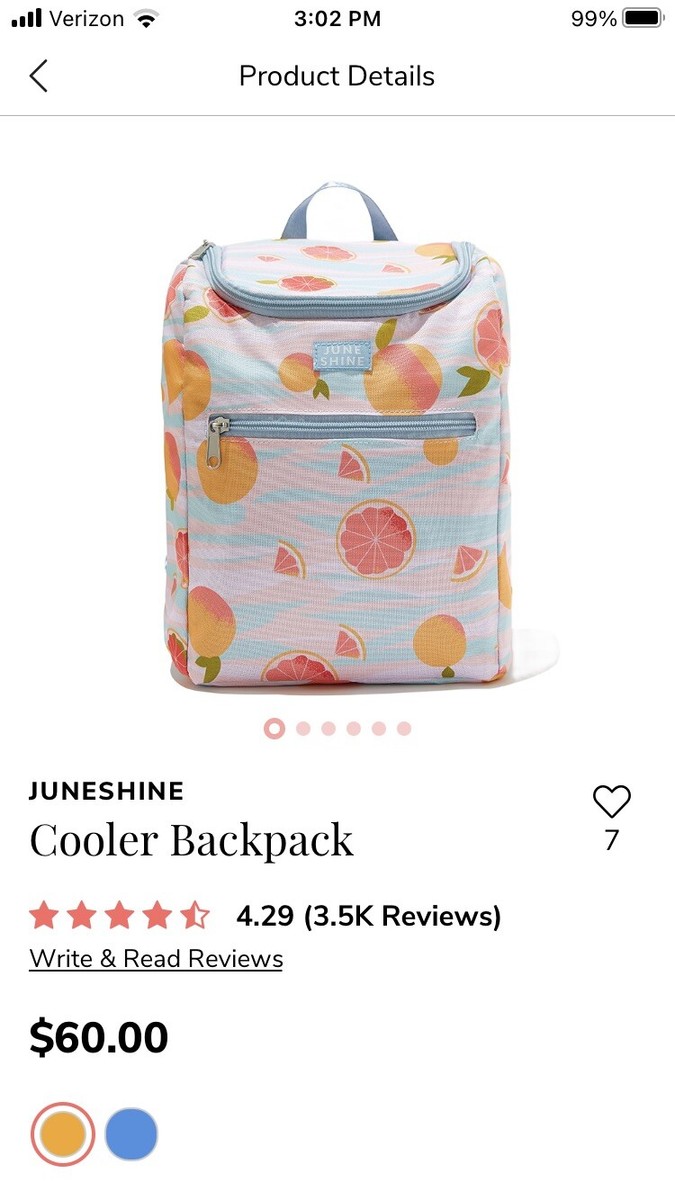 JuneShine Insulated Cooler Backpack juneshine | Bags | Juneshine Insulated Cooler Backpack  main image 2