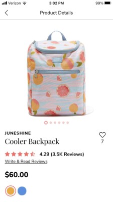 Cooler Backpack by JUNE SHINE Summer Citrus Pattern - New in Pkg - Holds 15 cans