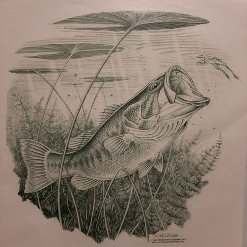VINTAGE LARGE MOUTH BASS FISH FISHING WHITE SHIRT SIZE S-XL (FRONT PRINT)#FS-14 - Picture 1 of 3
