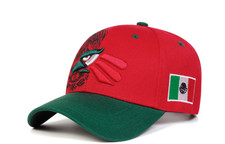 MEXICAN MEXICO Hat Hecho En Mexico Eagle Aguila Curved Baseball Cap Red