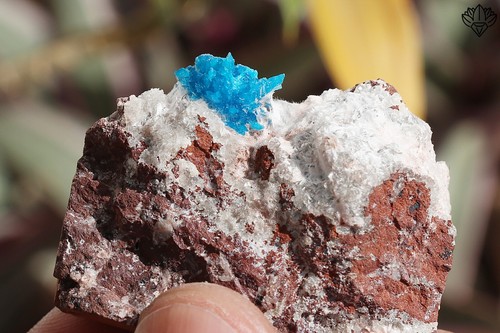 Pequeña cavansita deslumbrante sobre base métrica minerales de heulandita 34 g muestra áspera - Imagen 6 de 6