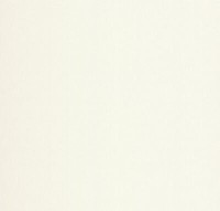 Rasch Textil Tapete Vision 022842 Creme Uni Vliestapete Vlies