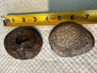 Ammonite Fossil Mold And Cast — photo 2