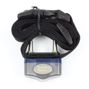 best dogs for small backyards