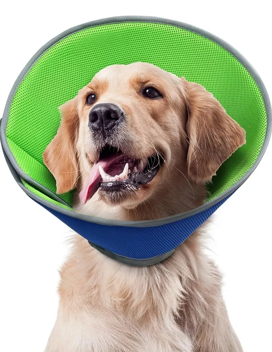 For X Largs Dogs After Surgery Cone Adjustable Soft Dog Cone Collar Blue