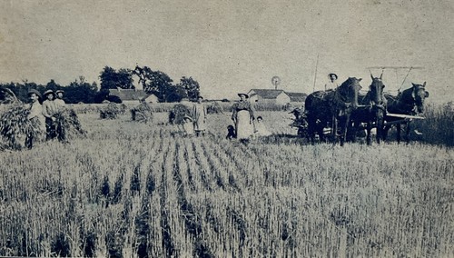 1912 Postcard A Harvest Scene Near Williamsburg Ohio - Picture 2 of 3