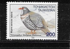 TAJIKISTAN #86 1996 BIRD MNH XF OLD COMMEMORATIVE PICTORIAL SINGLE STAMP
