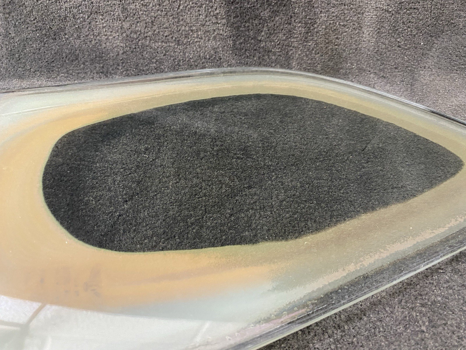 Rear Left Door Quarter Window Glass OEM 06-12 Bentley Continental Flying Spur