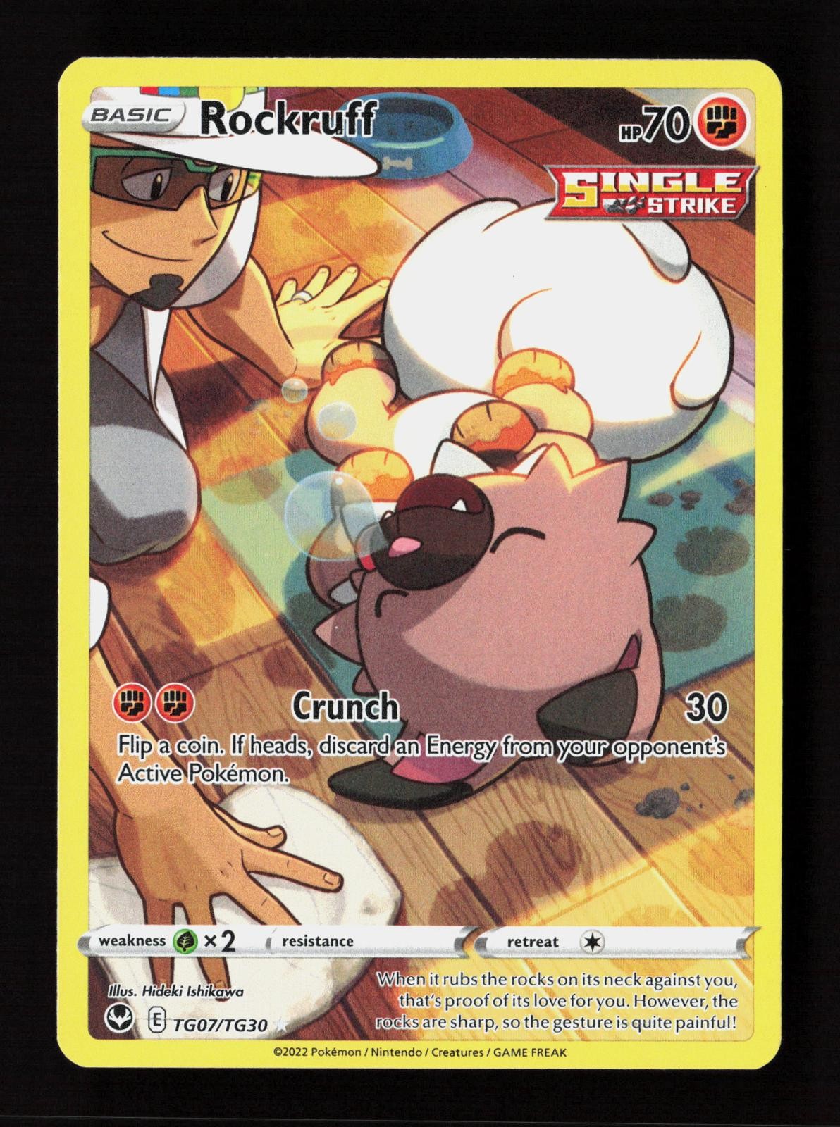 Rockruff TG07/TG30 Holo Silver Tempest Trainer Gallery Pokemon NM