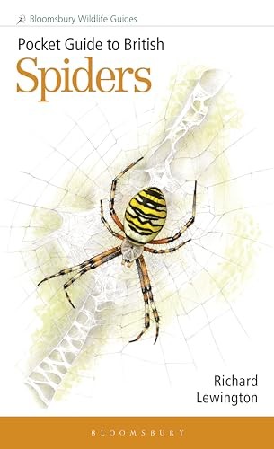 Richard Lewington - Pocket Guide To British Spiders - Paperback - G245Z-image