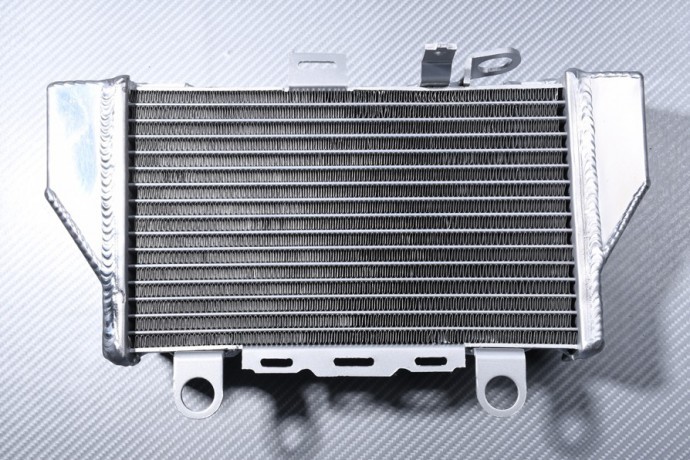 Évitez la surchauffe : radiateur eau gauche pour Africa Twin 1000 CRF SD06
