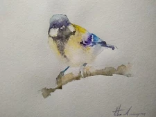 Great Tit,  Birds, Watercolor artwork, Handmade, Original painting on paper