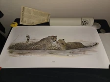 1972 Richard Evans Younger Signed Original Silk Print Cheetah 20x40 Mint Inserts