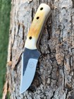 1776 CUTLERY D2 STEEL BURNT CAMEL BONE SMALL SKINNER FIXED BLADE KNIFE/SHEATH — photo 2