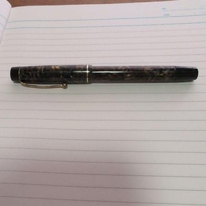 Fountain Pen Onoto | eBay