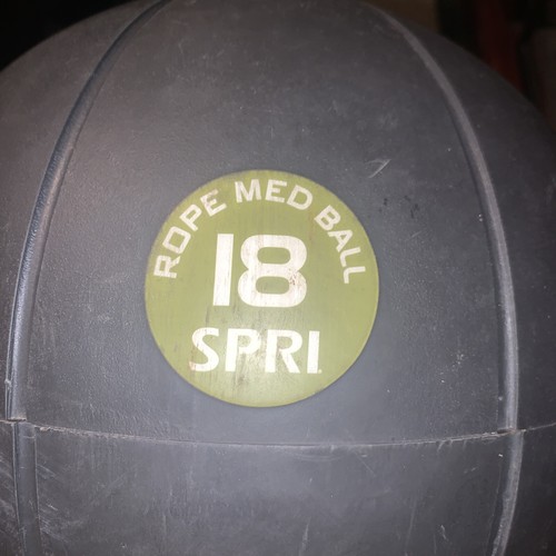 SPRI 18lb roped med slamball