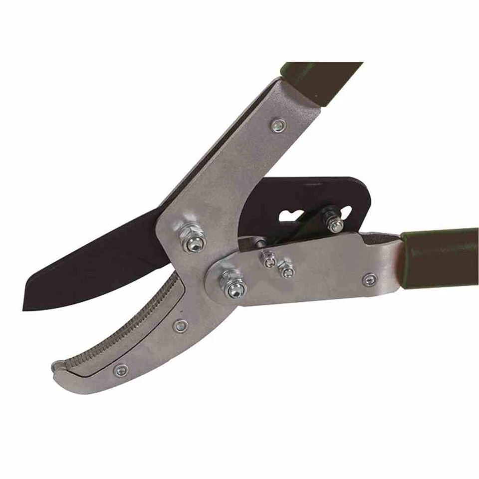 Pro Alu Ratschen Astschere teleskopierbar Ambossschere Gartenschere Rosenschere - Bild 3 von 4