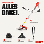 Bild 12 von 13