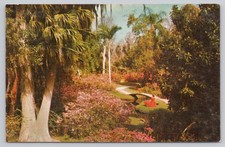 Florida Cypress Gardens Tropical Trees & Flow...
