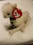 thumbnail 23 - Ty Beanie Babies (Items are individually priced - Open to discuss &#034;Best Offer&#034;)