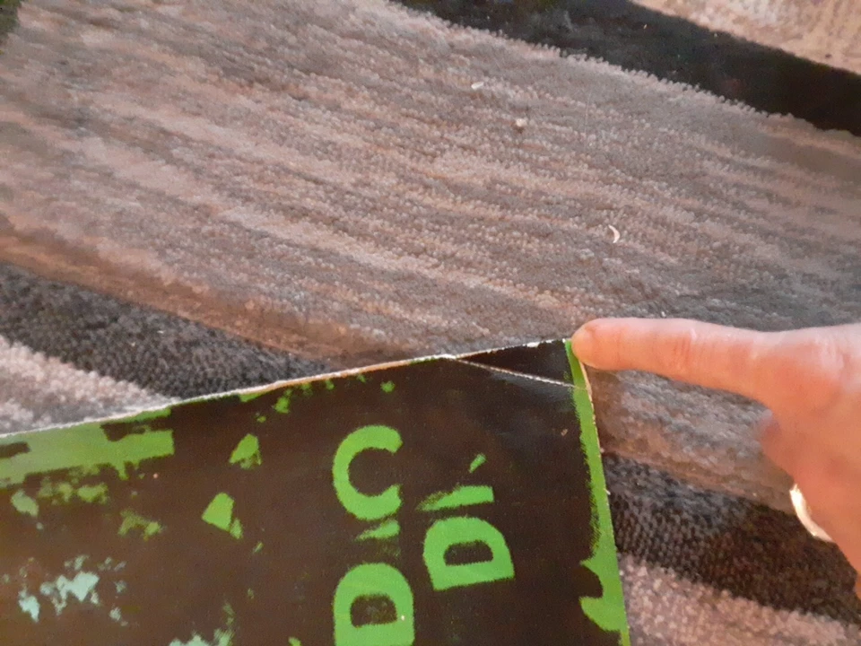 Steve Kaufman Hollywood serigrafía sobre lienzo 26x36 pulgadas aprox.  Firmado.   Foto 3 de 4