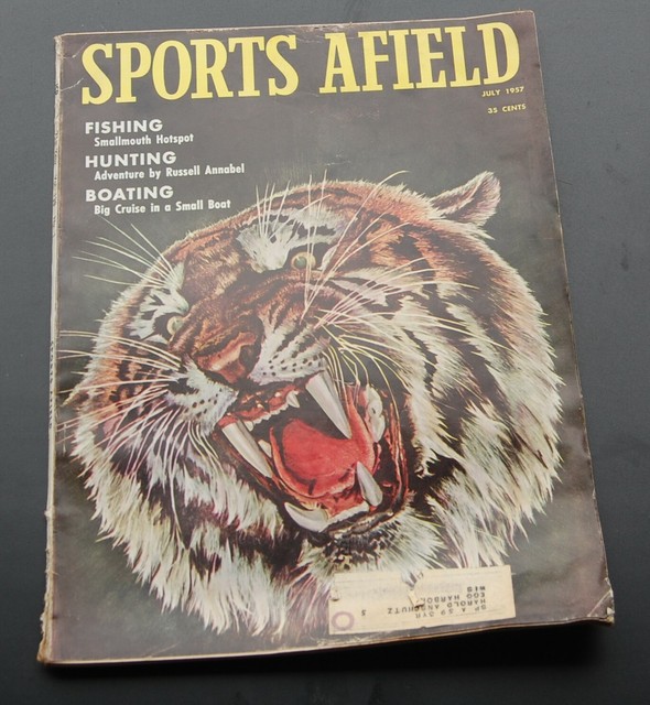 July 1957 Sports Afield Magazine Tiger Cover eBay