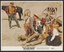 WESTERN JACK ELAM JAMES STEWART MAUREEN O’HARA JULIET MILLS The Rare Breed ‘66