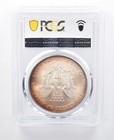 2002 American Silver Eagle MS67 PCGS Peripheral Tone a8118 — photo 2