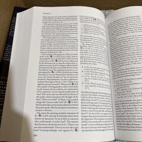 Kommentar zum neutestamentlichen Gebrauch des Alten Testaments von D. A. Carson 2007 - Bild 8 von 10