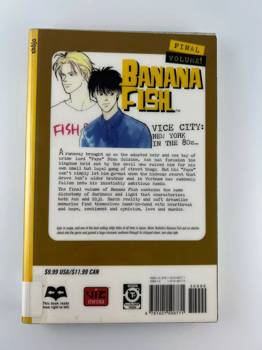 Banana Fish Manga Volume 19