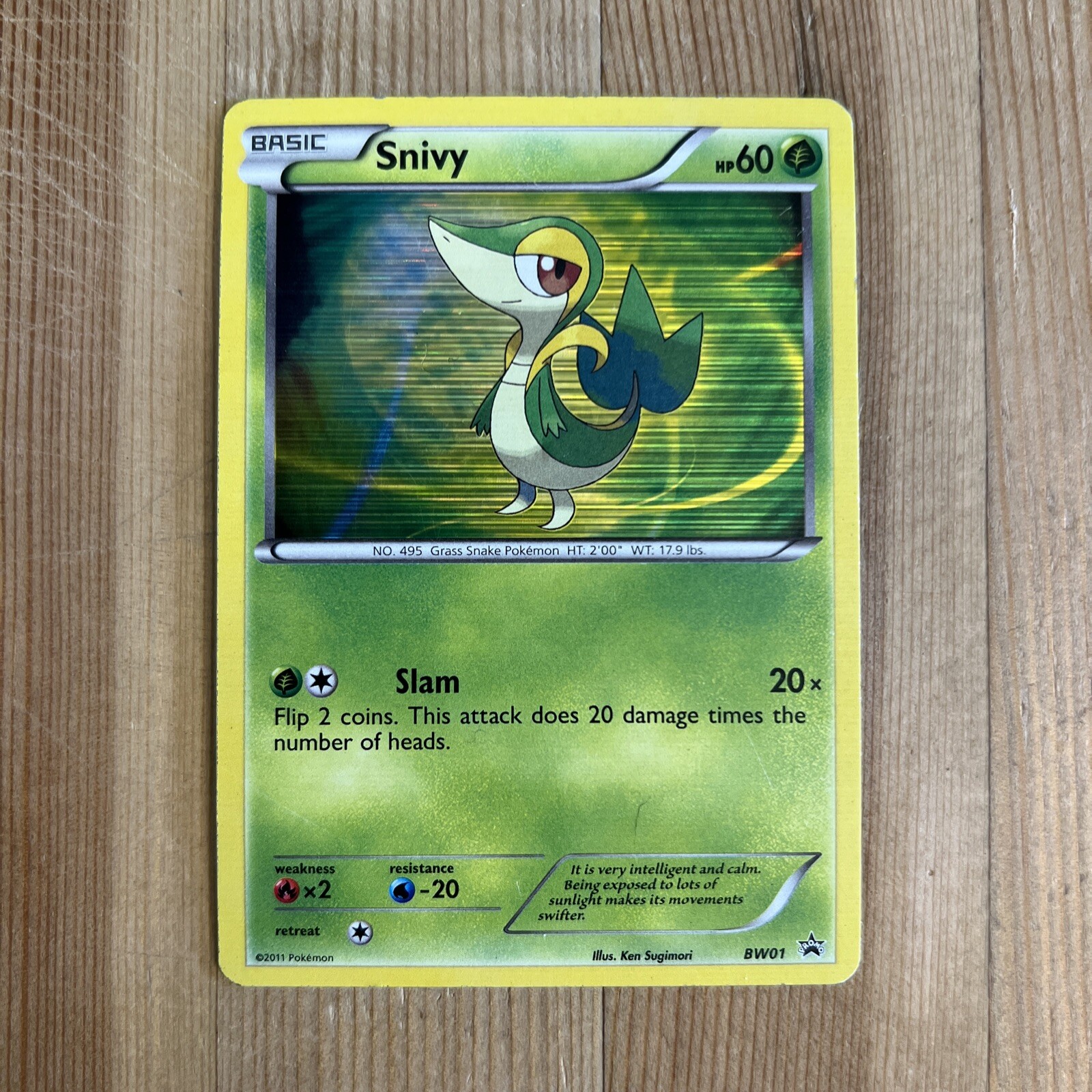 Pokémon TCG Snivy BW Black Star Promos BW01 Holo Promo MP