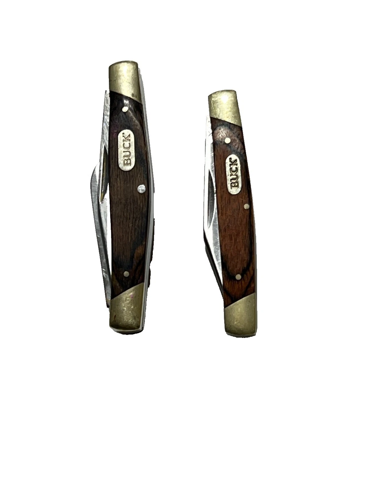 Buck Pocketknife Collectible Folding Knives 2 Blades