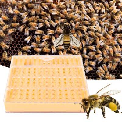Plastic Bee Cell Cups Kit Queen Rearing System Cultivating Box Queen Cage UT