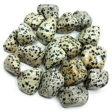 Dalmatian Jasper Tumbles Tumbled Stones India Wholesale Bulk 3/4"-1-1/2" 25pcs
