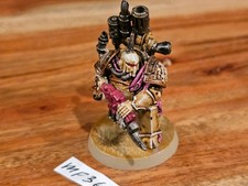 Warhammer 40k 40,000 Death Guard Dark Imperium Plague Marine OOP Painted MF369