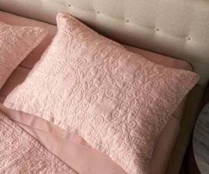 ebel replacement cushions