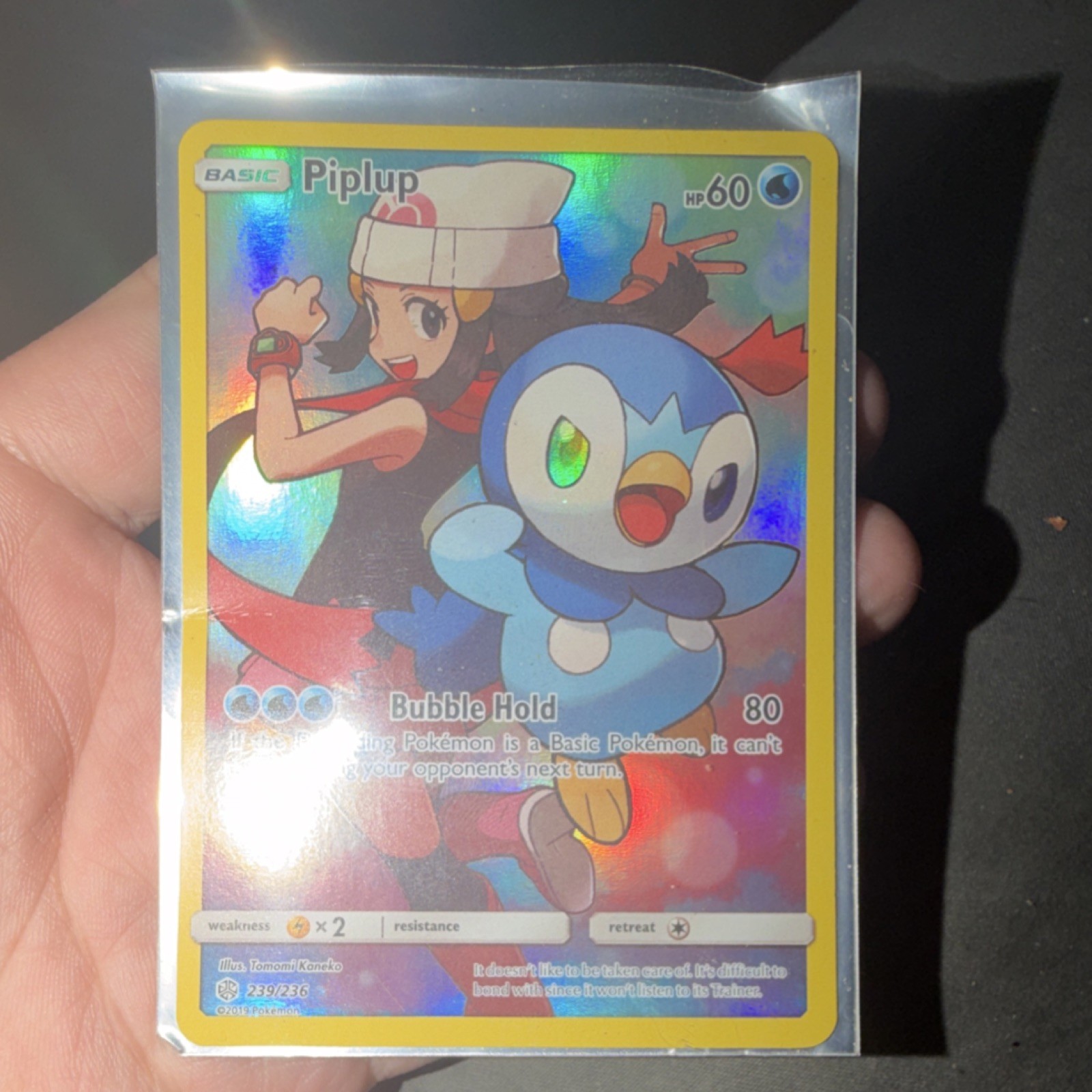 Pokémon Piplup 27/108 Dark Explorers Regular Card English Basic 60 HP Water