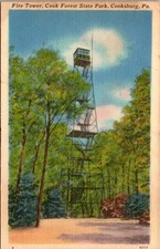 Vintage Cook Forest State Park Fire Tower Postcard Cooksburg PA 1959