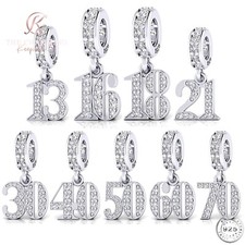 13th 16th 18th 21st 30th 40th 50th 60th 70th Birthday Charm 925 Sterling Silver